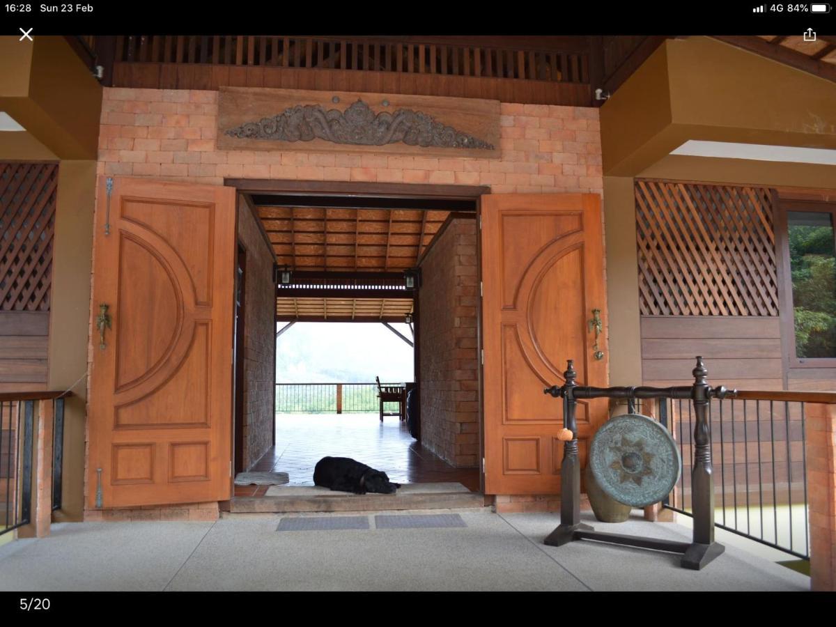 Billion Views Khaosok Homestay Khao Sok National Park Exterior foto