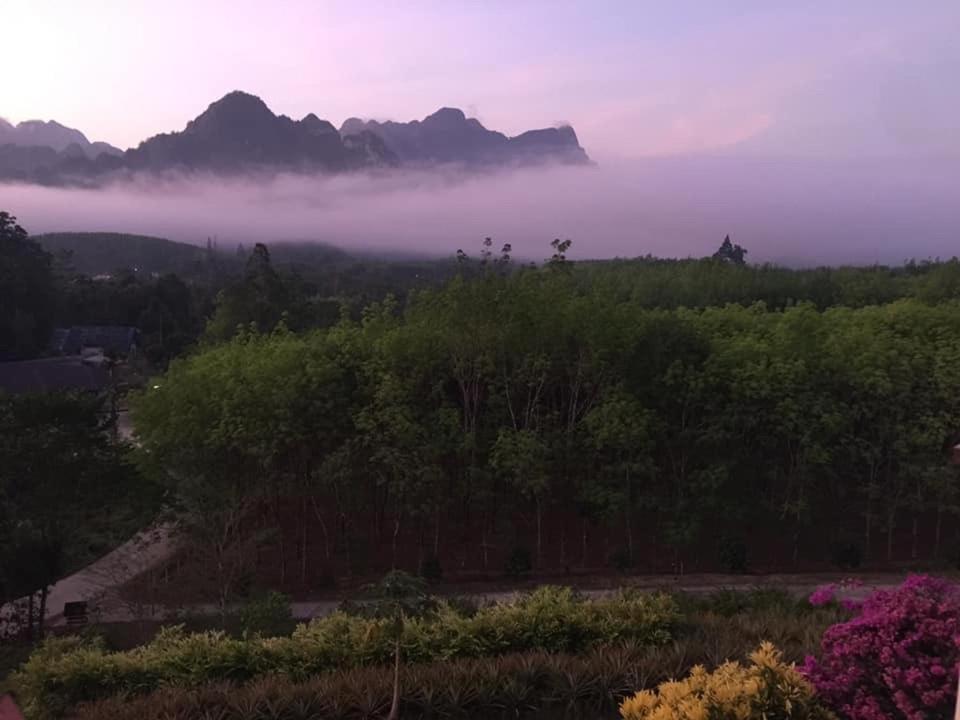 Billion Views Khaosok Homestay Khao Sok National Park Exterior foto